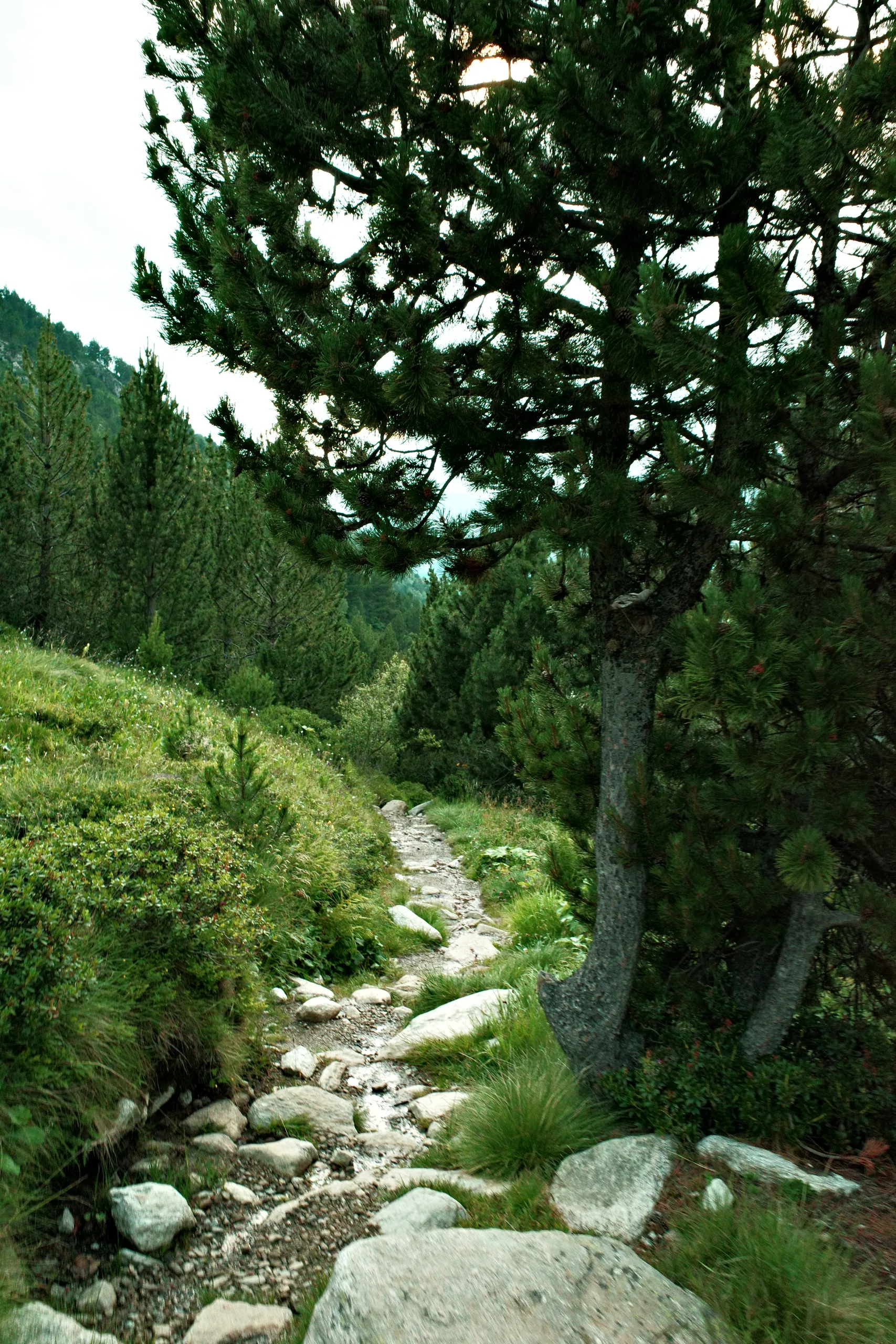 R0000596